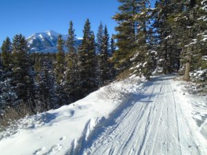 Moraine trail in PLPP(Don't confuse this with Moraine Lake road in Lake Louise)