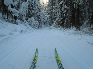 Fox Creek is groomed with reasonably good snow cover, but is still bumpy