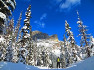 Photo by Neil Puckridge: Another pristine day skiing at Emerald lake, we're so fortunate to have such beauty in our back yards!