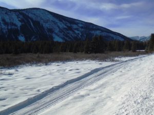 The trail through Moose Meadows