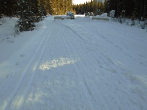 The end of the tracksetting at Johnston Canyon campground