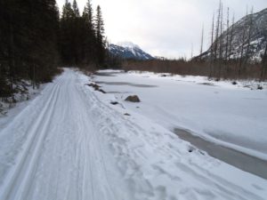 This 100-metre section of Healy Creek was the best skiing of the day