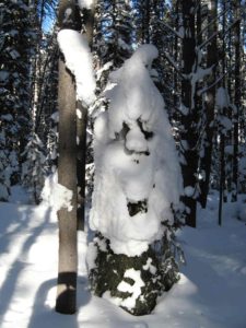 Here is a photo of a jolly old gnome on Lower Telemark on Thursday. He even has his own skis!