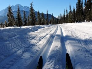 Good Tracks on Kicking Horse River. See Chuck's Trip Report for details and more photos. 