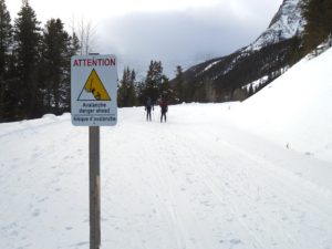 The tracksetting ends at this sign at 8.9K, but most skiers go a couple hundred metres further to the viewpoint. 
