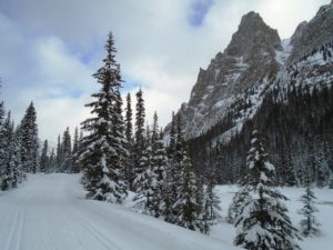 There is spectacular scenery around every corner on the Lake O'Hara fire road