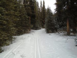 Lovely conditions at 8K. Up to 5 cm of fresh snow on the trail. Multi-users had all turned around by now. 