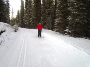 Passing a skier on Spray River West at 12.3K