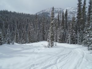 The hill down to Goat Creek bridge was pretty easy to descend on the fresh snow