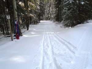 You can see how much new snow is on the ungroomed trail known as King of Sweden. This is one of the trails which will be closed during the SkiNationals.