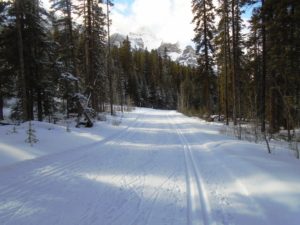 The natural snow on Banff trail was in nice shape
