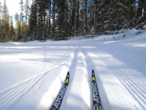 Grey Wolf trail was in beautiful condition at the Canmore Nordic Centre