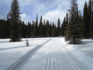 It was faster to ski out of the tracks on Tyrwhitt