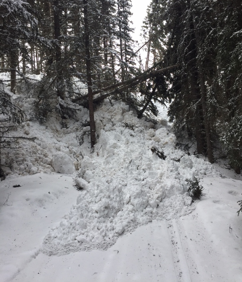 Redearth Creek avalanche has covered the ski trail.