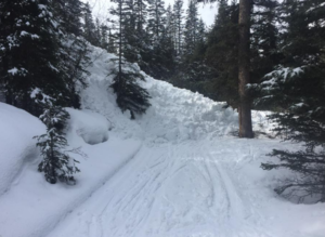 The first slide path on Redearth Creek. Photo posted on Backcountry YYC by Scott Parker
