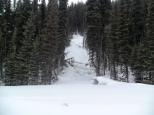 Tyrwhitt avalanche chute