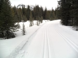 Lower Lake trail