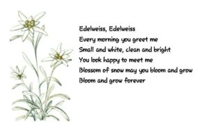 Lyrics to the song "Edelweiss"